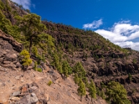 Reserva Natural Integral de Inagua
